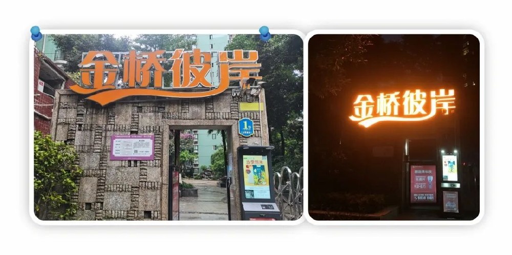 生机盎然的五月，来看看金桥彼岸都经历了什么？