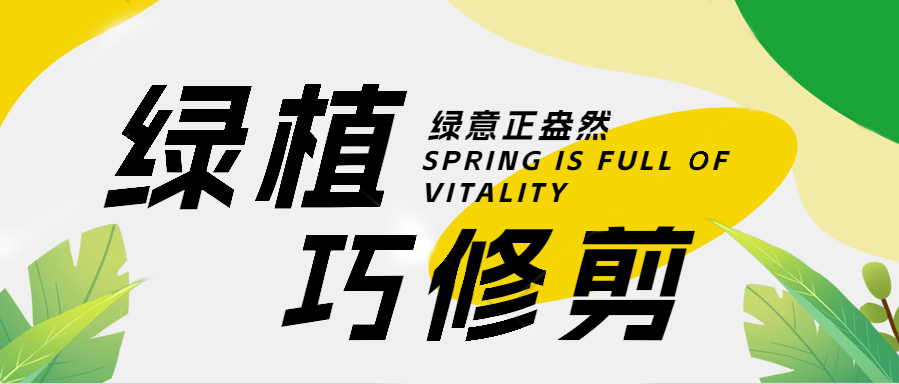 凯美物业丨实用灌木修剪技艺培训，匠心传授园艺新篇章